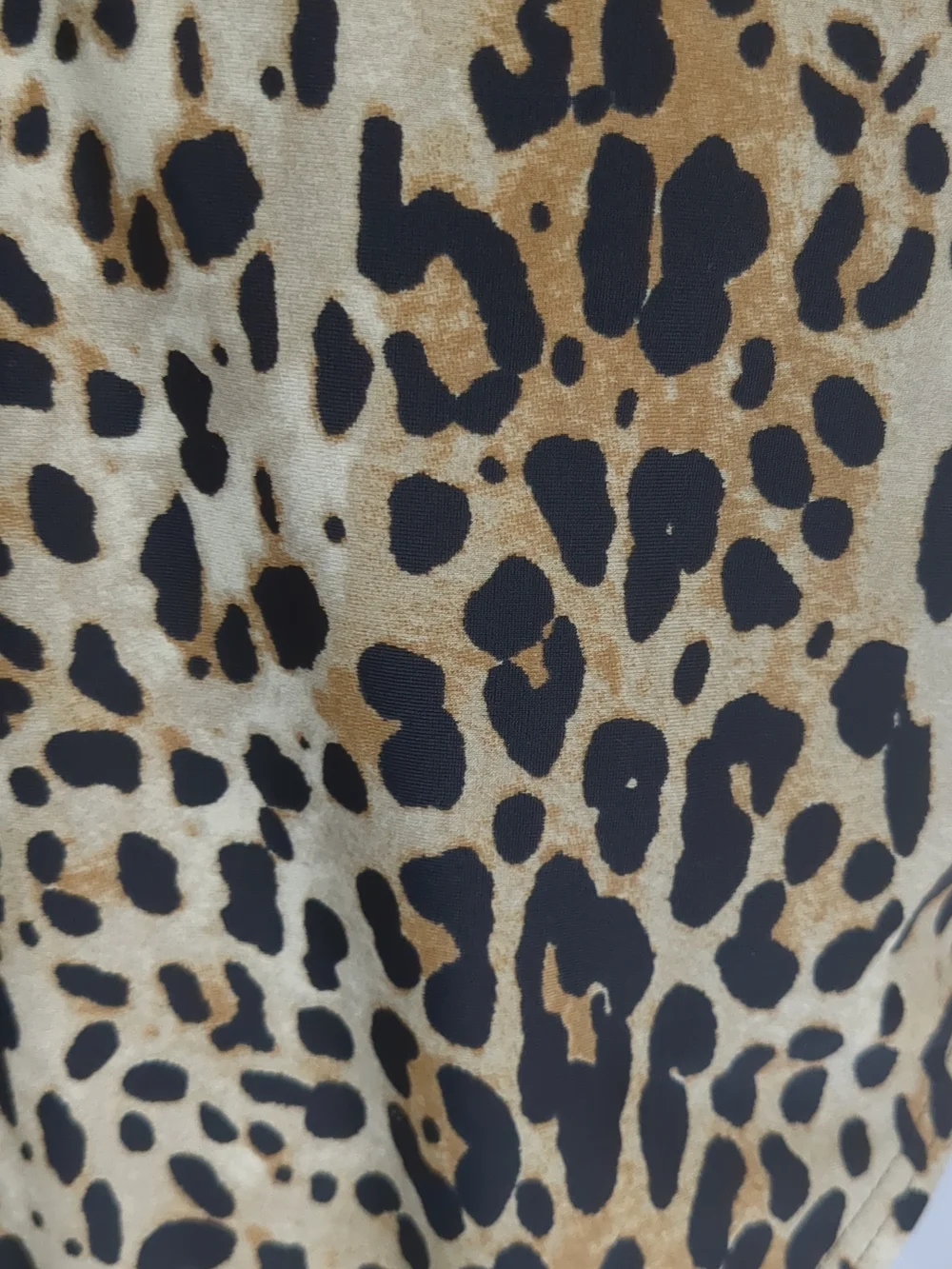 Leopard Print Deep V One-Piece Swimsuit